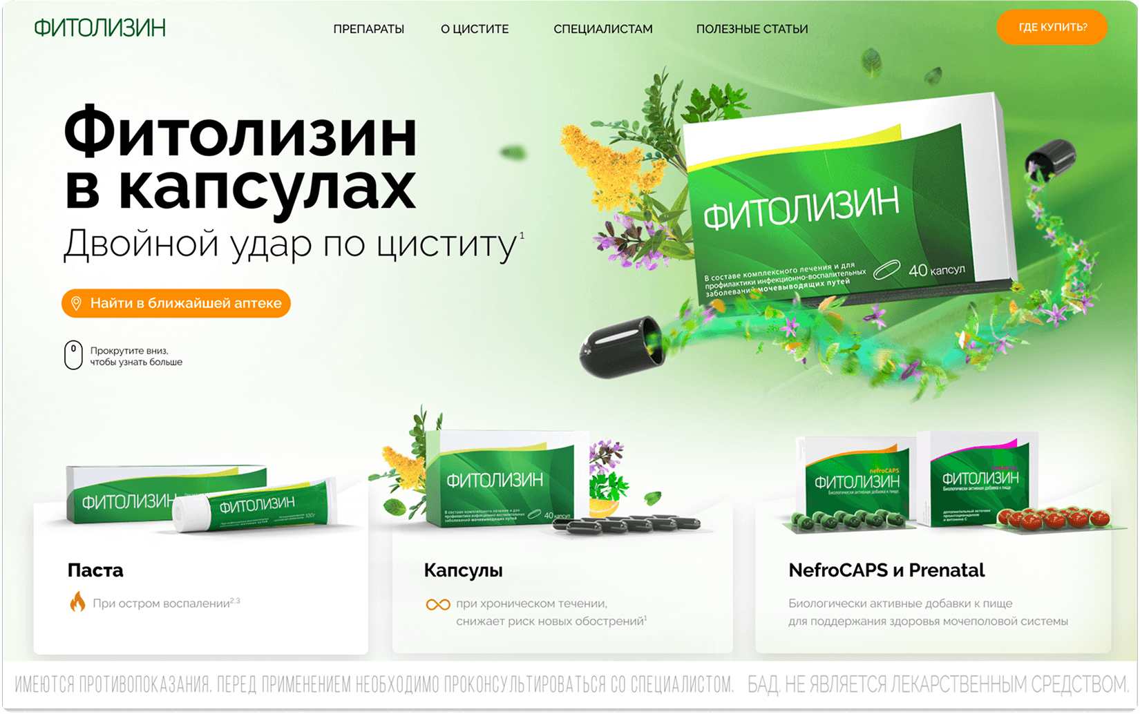 страница сайта 1
