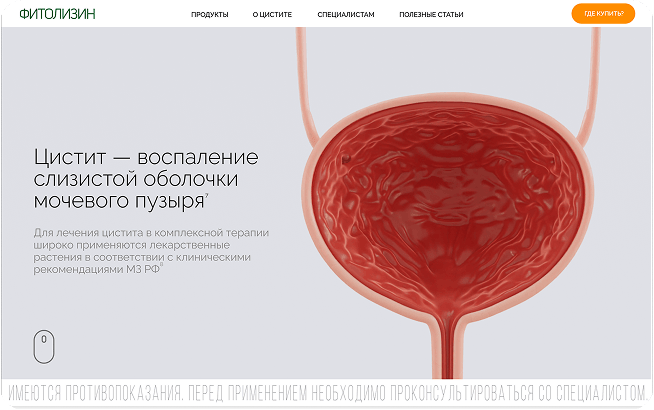 страница сайта 2