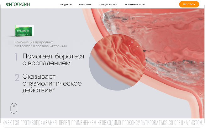 страница сайта 4