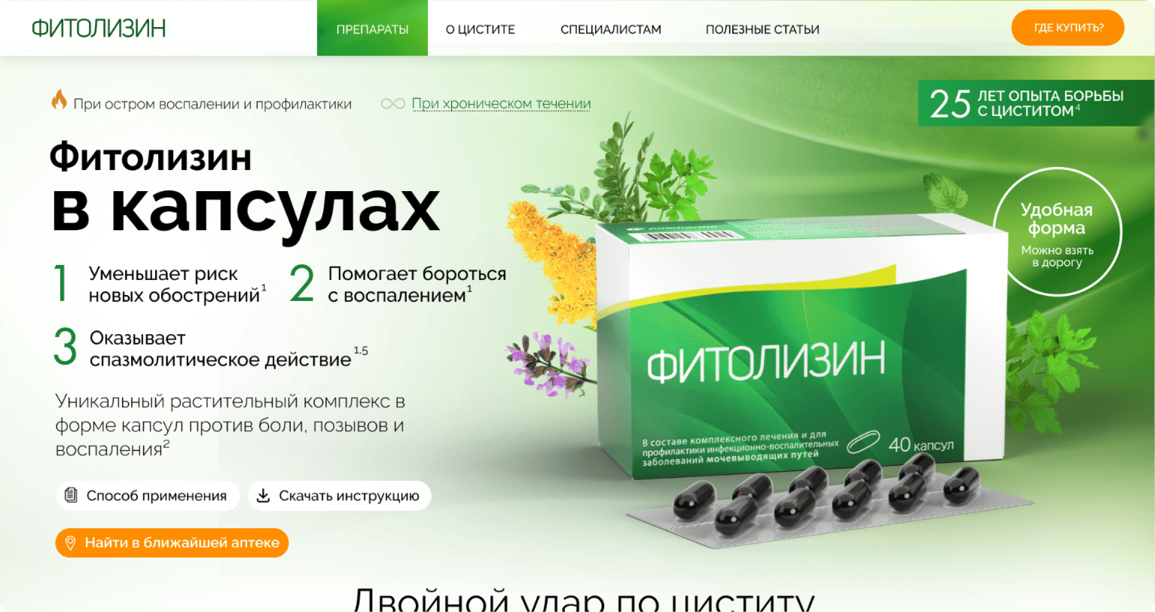 страница сайта 3